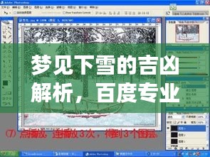梦见下雪的吉凶解析，百度专业解读您的梦境之谜