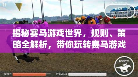 揭秘赛马游戏世界，规则、策略全解析，带你玩转赛马游戏！——百度收录标题