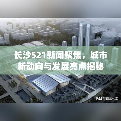 达官贵人