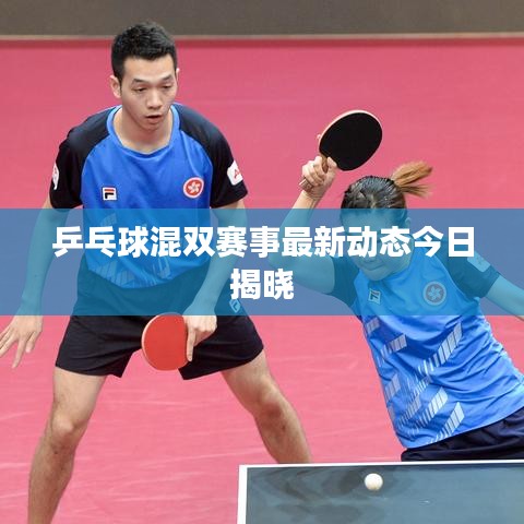 乒乓球混双赛事最新动态今日揭晓