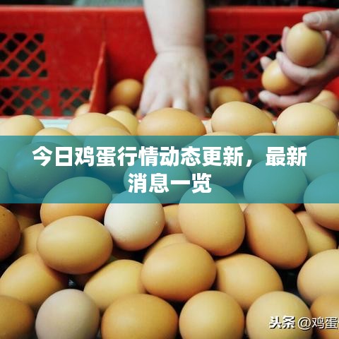 飞鸟依人
