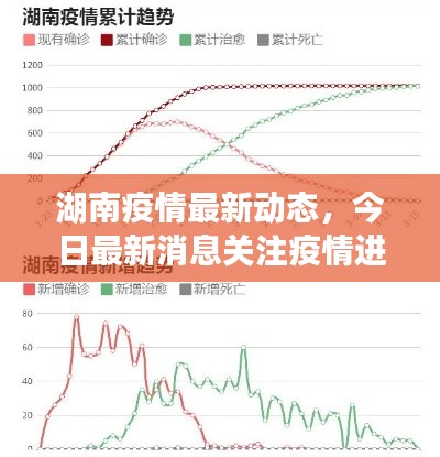 湖南疫情最新动态，今日最新消息关注疫情进展