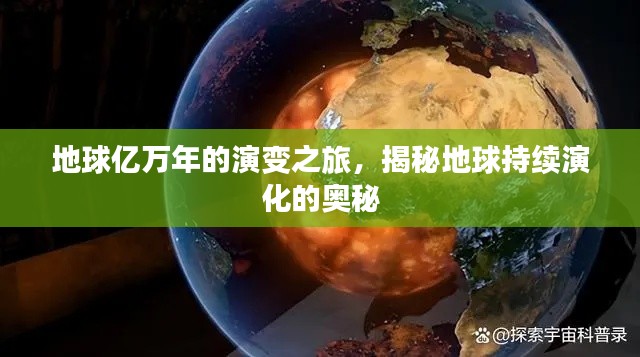 2025年4月 第11页
