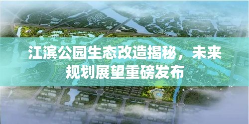 2025年4月 第10页