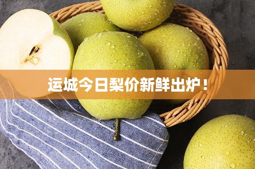 运城今日梨价新鲜出炉！