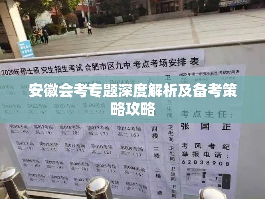 安徽会考专题深度解析及备考策略攻略