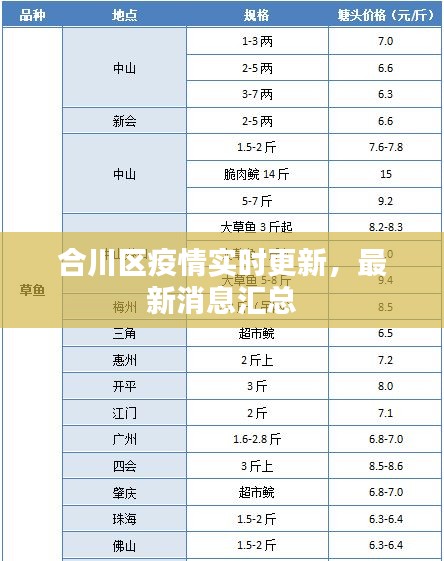 合川区疫情实时更新，最新消息汇总