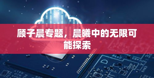 顾子晨专题，晨曦中的无限可能探索