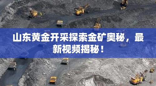 山东黄金开采探索金矿奥秘，最新视频揭秘！