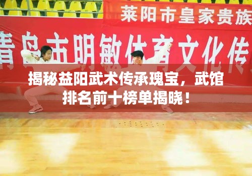 揭秘益阳武术传承瑰宝，武馆排名前十榜单揭晓！