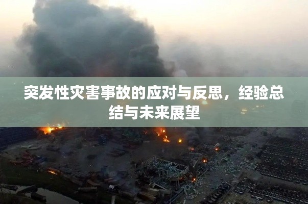 突发性灾害事故的应对与反思，经验总结与未来展望