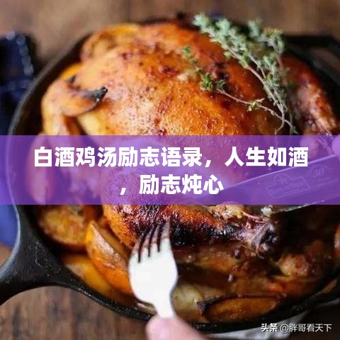 白酒鸡汤励志语录，人生如酒，励志炖心