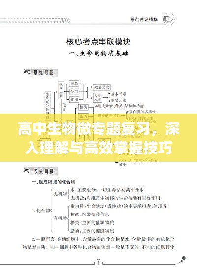 高中生物微专题复习，深入理解与高效掌握技巧