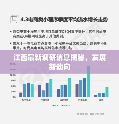 江西最新调研消息揭秘，发展新动向
