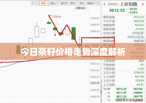 今日茶籽价格走势深度解析