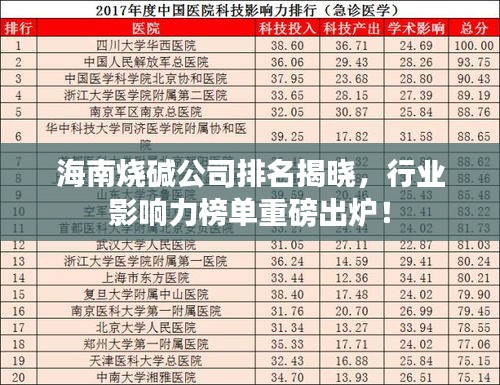 海南烧碱公司排名揭晓，行业影响力榜单重磅出炉！
