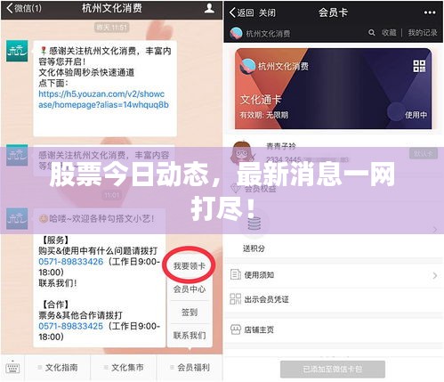 股票今日动态，最新消息一网打尽！