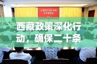 西藏政策深化行动，确保二十条措施落地生根，成效显著瞩目