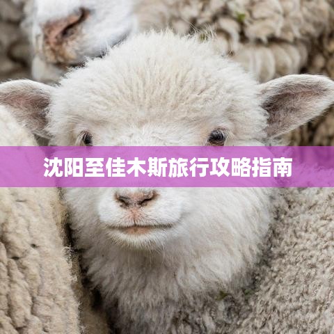 沈阳至佳木斯旅行攻略指南
