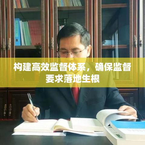 构建高效监督体系，确保监督要求落地生根