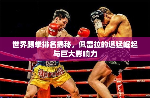 世界踢拳排名揭秘，佩雷拉的迅猛崛起与巨大影响力