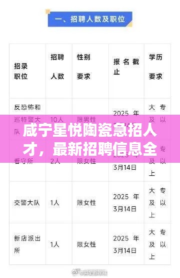 咸宁星悦陶瓷急招人才，最新招聘信息全解析