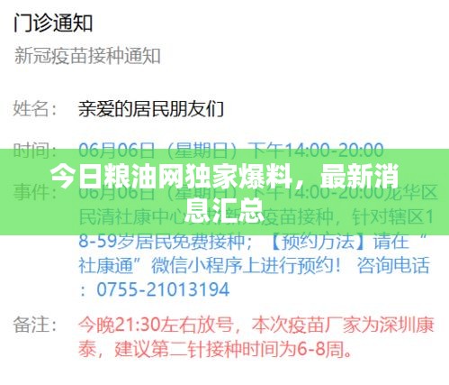 今日粮油网独家爆料，最新消息汇总