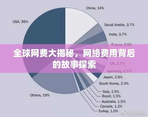 全球网费大揭秘，网络费用背后的故事探索
