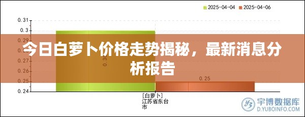 今日白萝卜价格走势揭秘，最新消息分析报告