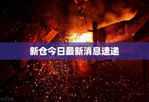 新仓今日最新消息速递