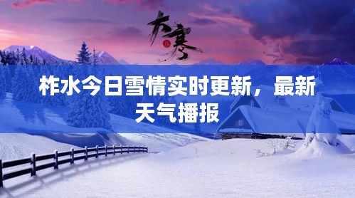 柞水今日雪情实时更新，最新天气播报