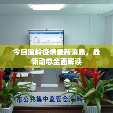 今日温岭疫情最新消息，最新动态全面解读