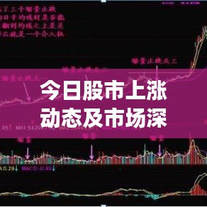 今日股市上涨动态及市场深度解读