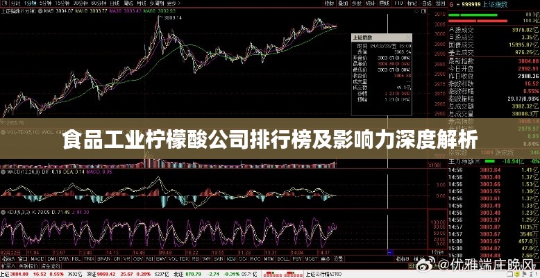 食品工业柠檬酸公司排行榜及影响力深度解析