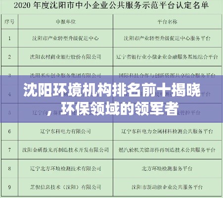 沈阳环境机构排名前十揭晓，环保领域的领军者