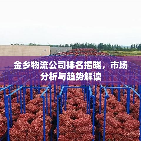 金乡物流公司排名揭晓，市场分析与趋势解读