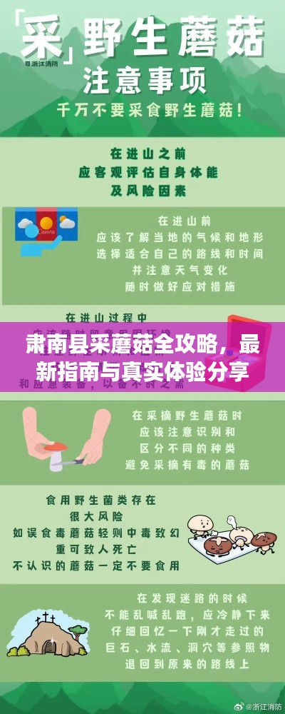 肃南县采蘑菇全攻略，最新指南与真实体验分享