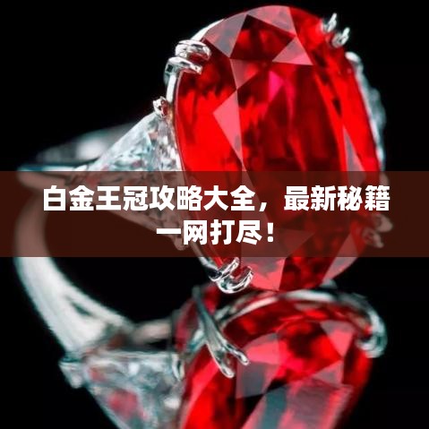 白金王冠攻略大全，最新秘籍一网打尽！