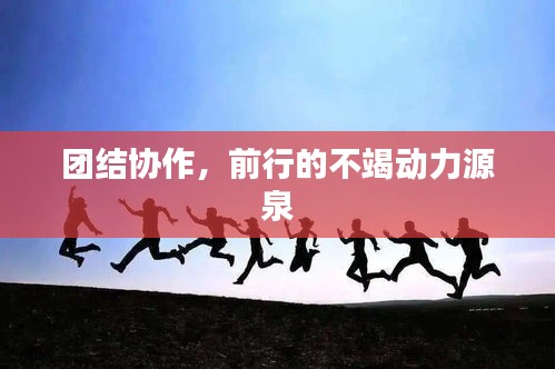 团结协作，前行的不竭动力源泉