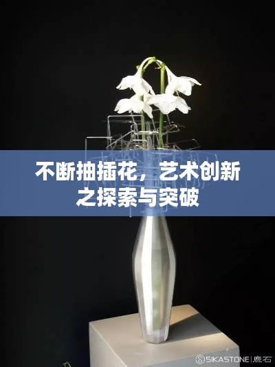 不断抽插花，艺术创新之探索与突破