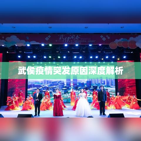 武侯疫情突发原因深度解析