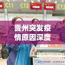 贵州突发疫情原因深度解析