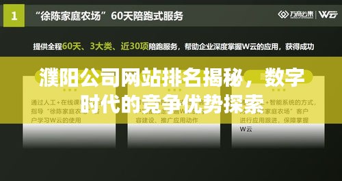 濮阳公司网站排名揭秘，数字时代的竞争优势探索