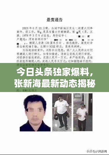 今日头条独家爆料，张新海最新动态揭秘！