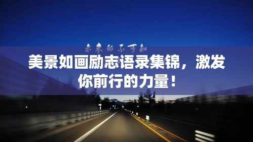 乌鸟私情