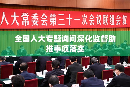 全国人大专题询问深化监督助推事项落实