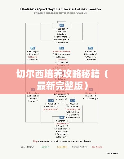 切尔西培养攻略秘籍（最新完整版）