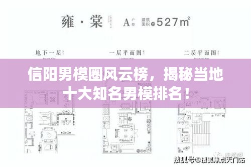 信阳男模圈风云榜，揭秘当地十大知名男模排名！