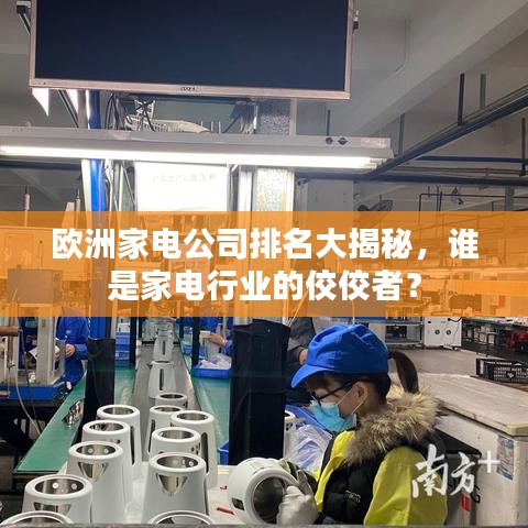欧洲家电公司排名大揭秘，谁是家电行业的佼佼者？
