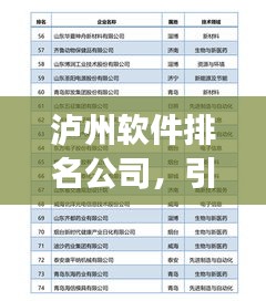 泸州软件排名公司，引领行业发展的技术力量标杆